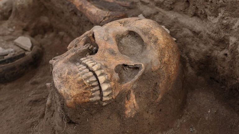 Archaeologists Unearth Pre-Aztec Altar in Mexico That Hints at Human Sacrifice : ScienceAlert