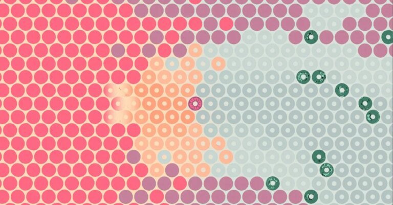 What Surrounds Us will make you think a lot about circles