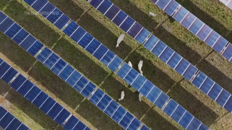 China finally moves against cheap solar chaos as new rules threaten inefficient factories and reshape the global PV industry forever
