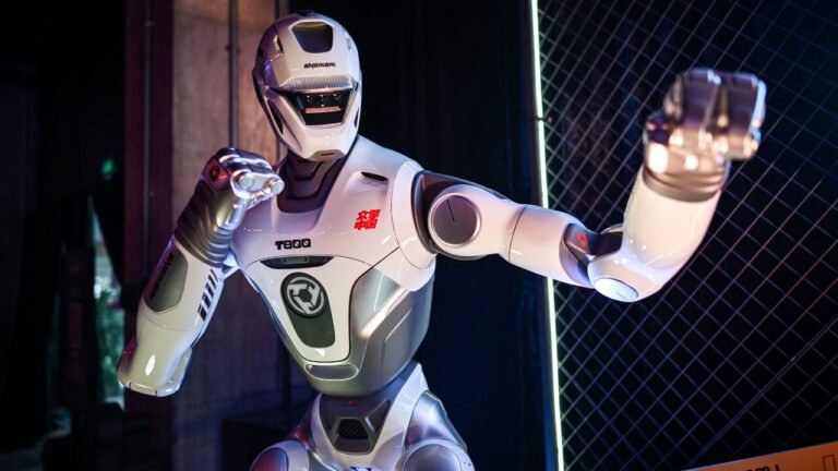 Polish robot fighters punch above their weight in global showdown – TVP World