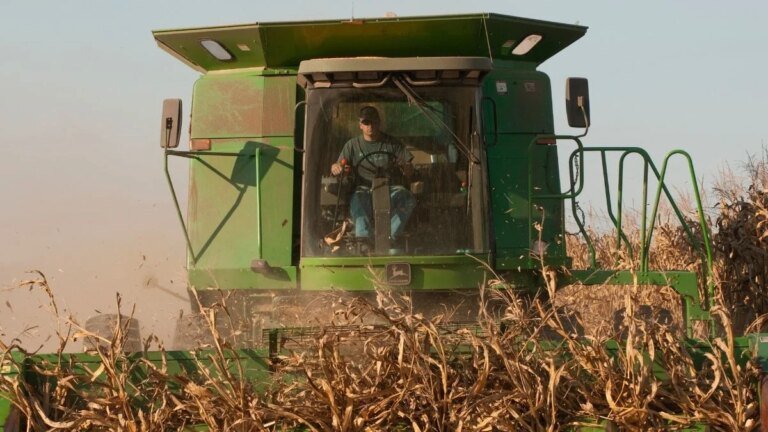 Scientists Found a Genius Way to Remove ‘Forever Chemicals’ From Soil : ScienceAlert