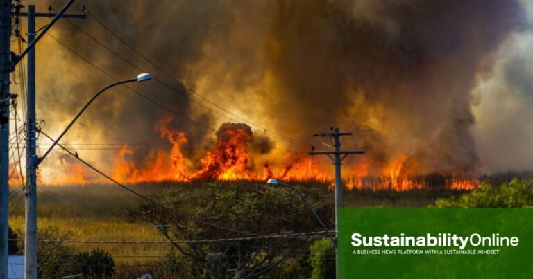 UN Climate Change chief: climate alarm is ‘blaring’ amid continued wildfires