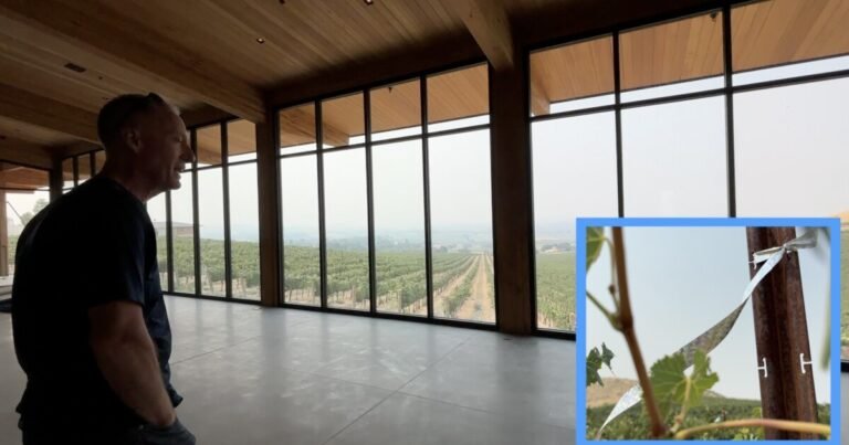 Winery uses innovative technology to build a more sustainable future
