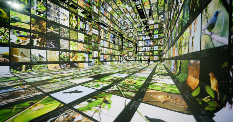 ‘Machines are collaborators’ at this new museum of AI art