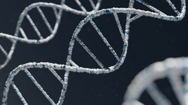 Attorney General John M. Formella announces $18 Million Multistate Settlement with 23andMe Over Genetic Data Breach