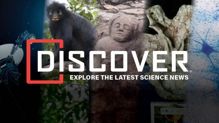 Long COVID May Injure the Brain’s Dopamine System, the First Images of Shackleton’s Last Ship, and A New Species of Monkey Discovered