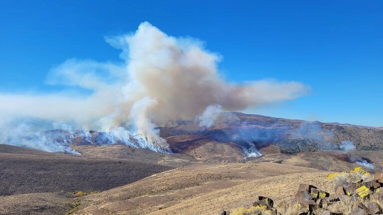 Scientists tracked a fire using sound alone