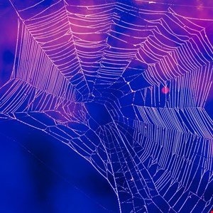 Alleged Scattered Spider Member Extradited to US