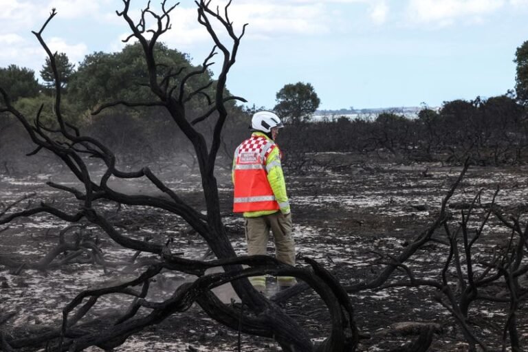 Wildfire expert delivers sobering warning about impact of climate change
