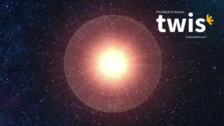 This Week in Science: Dyson Spheres, Hidden Amazon Structures, And More : ScienceAlert