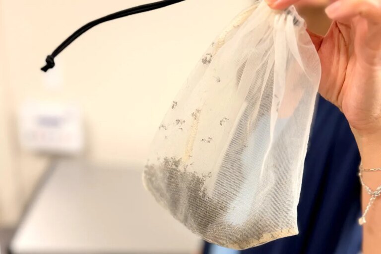 I visited Thermacell’s lab that breeds mosquitoes. It didn’t suck.