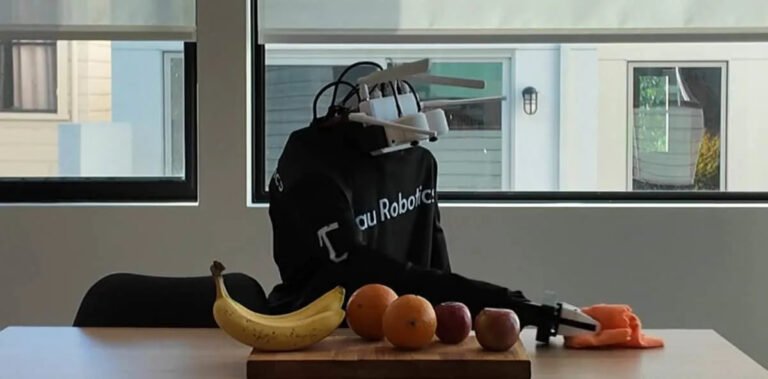 You can now hire a humanoid robot to clean your home for $30